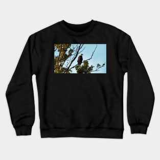 Bald Eagle Perching On a Tree Branch Crewneck Sweatshirt